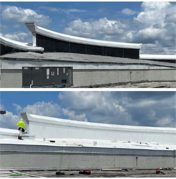 Roof-maintenance