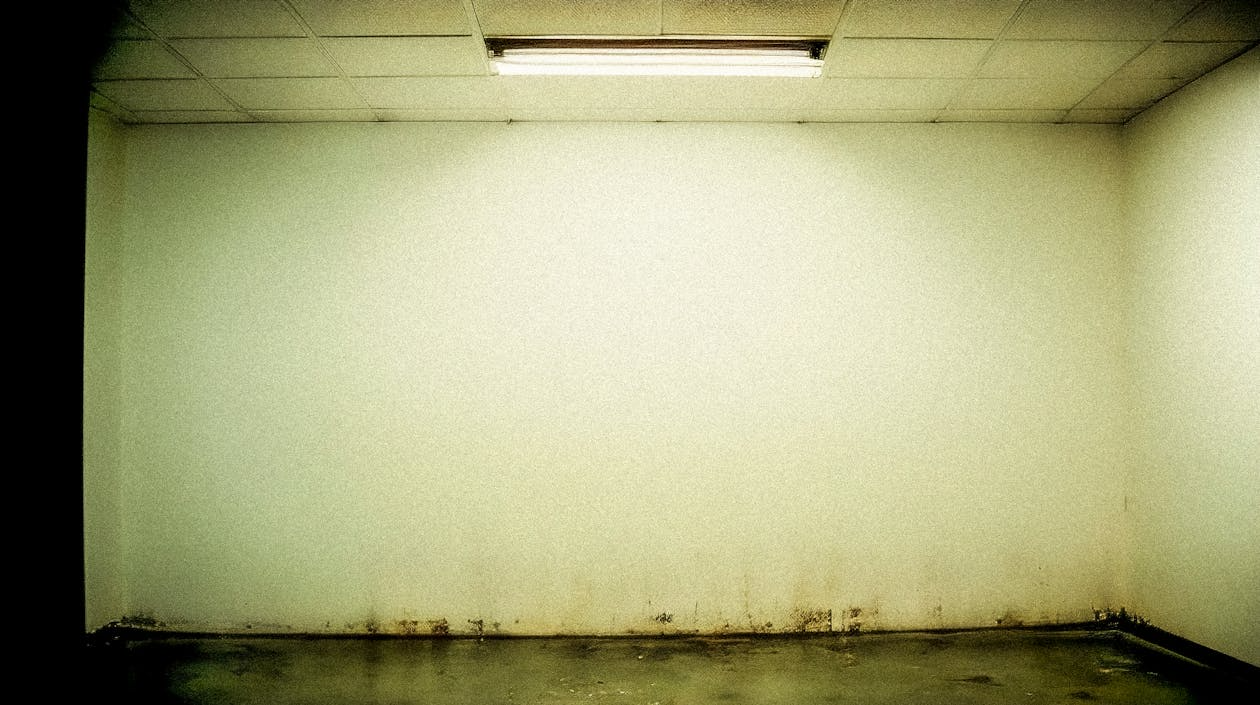 water stain spreading across an interior ceiling surface