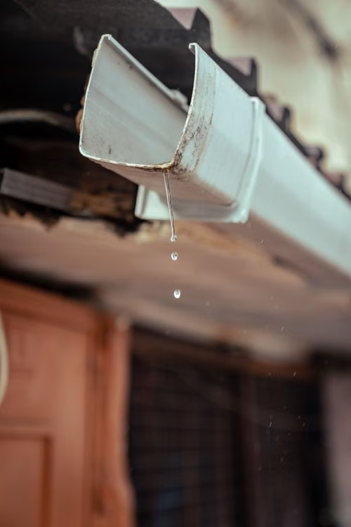 Roof drainage maintenance